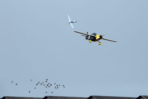 9c798f53c1159ea73c60ad146cdf7973