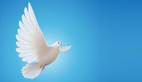 dove