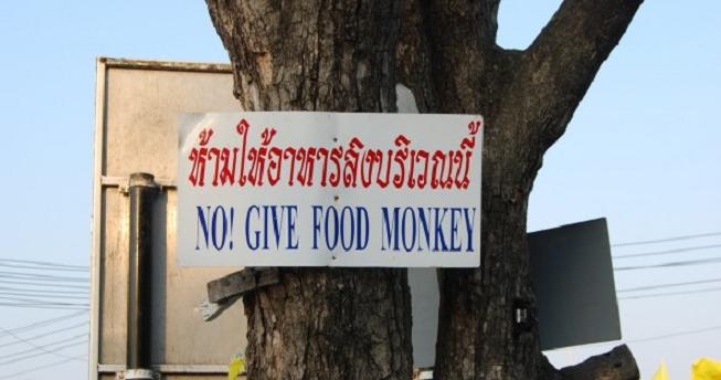 Were you thinking about walking on without feeding the Monkeys? No!