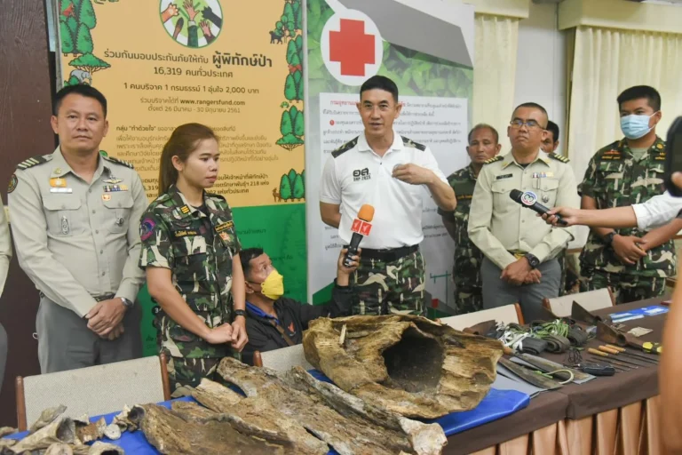 6 Vietnamese Timber Smugglers Arrested In Isaan Wildlife Sanctuary