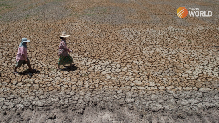 Heatstroke: What Is It, How Does It Occur, And How To Prevent It?