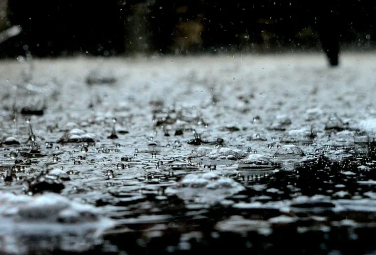Meteorological Dept Warns Of Heavy Downpours This Week