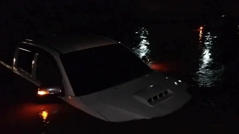 Storm Topples Trees, Causes Chaos And Flooding In Chaiyaphum