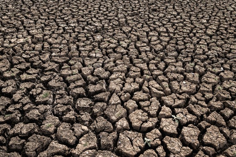 El Niño Threatens Thai Agriculture With 5% Rainfall Drop And Water Shortages