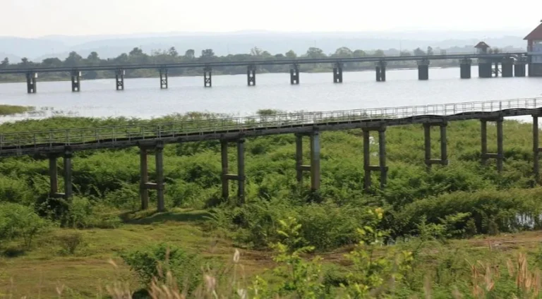 Lam Chae Reservoir: Halting Off-Season Rice Cultivation For Water Relief
