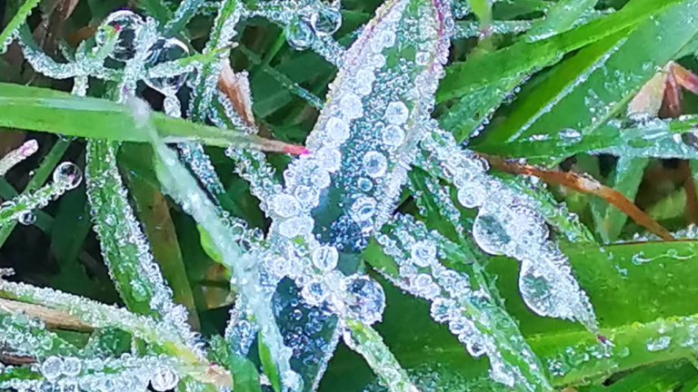 Thailand Braces For Cold Snap